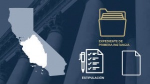 Designación del expediente de apelación